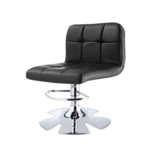 Salon Chair